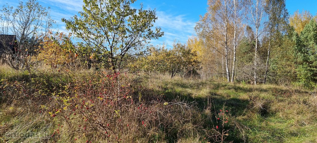 Parduodamas zemes sklypas ypatingoje vietoje. - nuotraukos Nr. 10