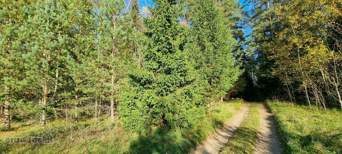 Parduodamas zemes sklypas ypatingoje vietoje. - nuotraukos Nr. 8