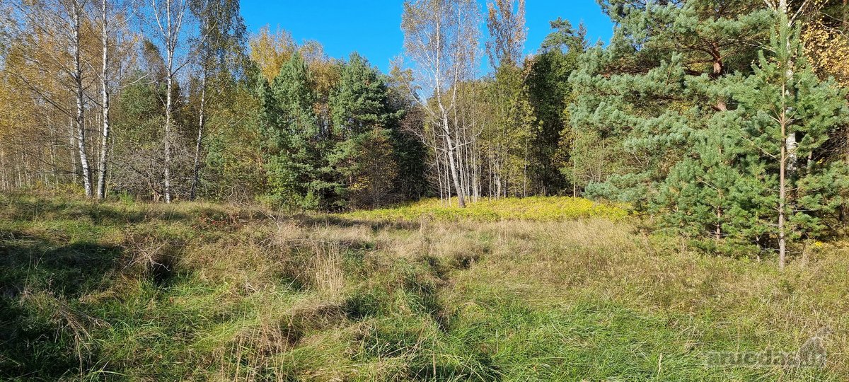 Parduodamas zemes sklypas ypatingoje vietoje. - nuotraukos Nr. 11
