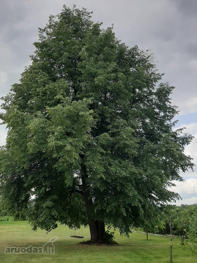 Parduodama sodyba 25a. Tytuvėnų m., - nuotraukos Nr. 8