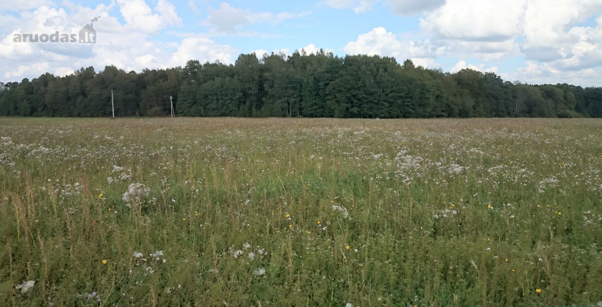 Parduodamas žemės ūkio paskirties sklypas. 