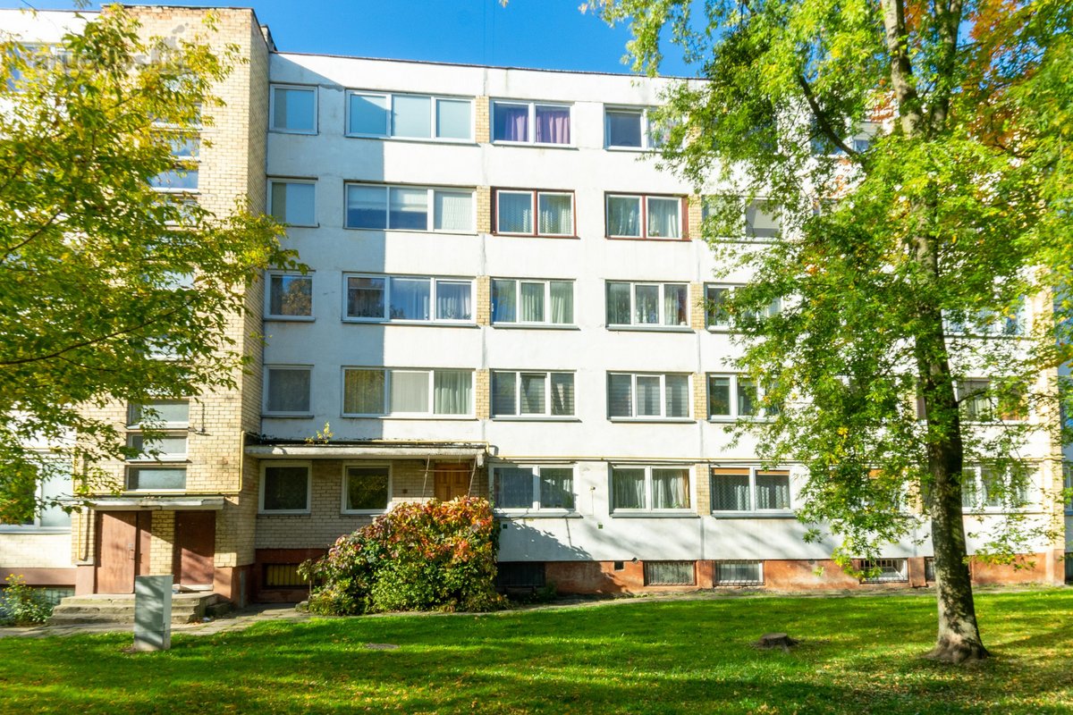 Jaukus, šviesus vieno kambario butas su - nuotraukos Nr. 33