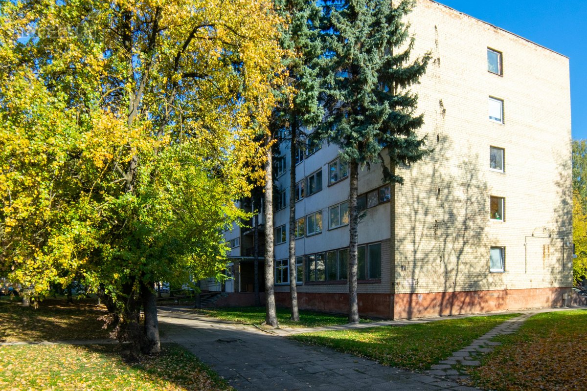 Jaukus, šviesus vieno kambario butas su - nuotraukos Nr. 30