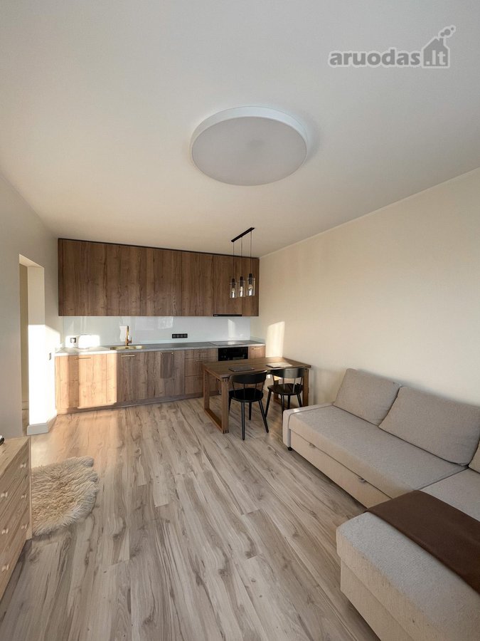 Išnuomuojamas naujas įrengtas 38 kv.m, vieno - nuotraukos Nr. 15