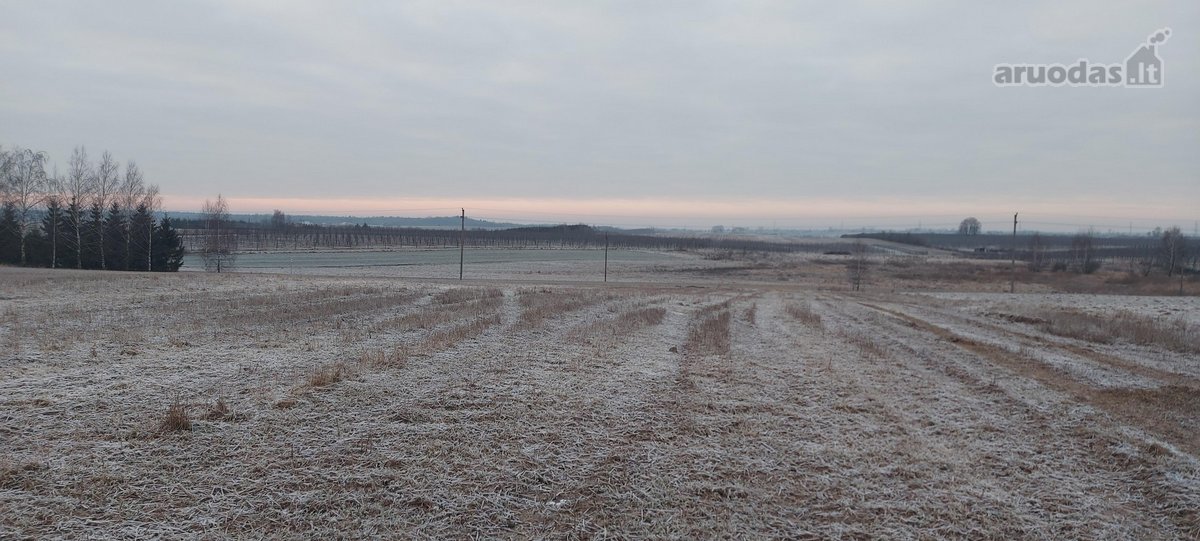 Paskirtis :žemės ūkio paskirties - nuotraukos Nr. 9