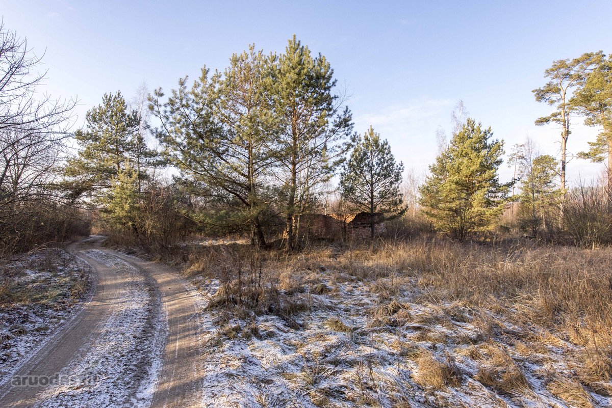 Parduodame 2,81ha ploto miškų ūkio paskirties - nuotraukos Nr. 4