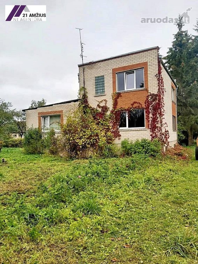 Biržų r., Germaniškio k., Pušų akligatvio g.