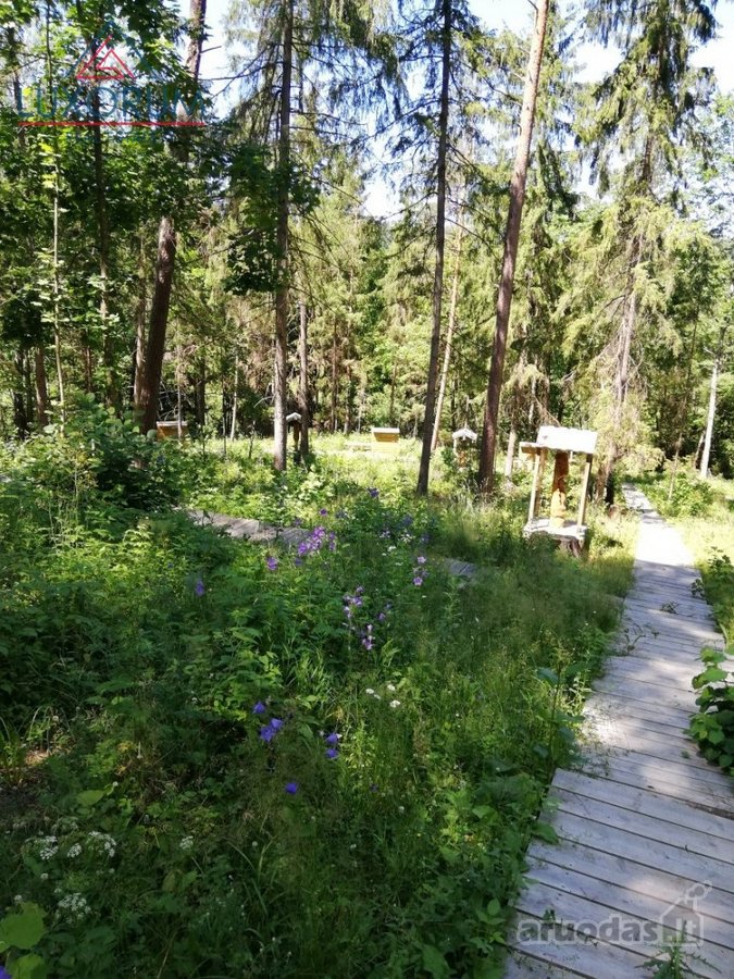 Parduodamas 6,14 ha žemės ūkio paskirties - nuotraukos Nr. 2