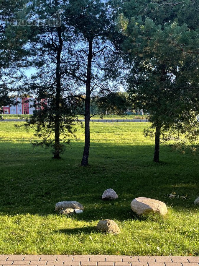 Čia susieina net septynios upės, vietiniai - nuotraukos Nr. 12