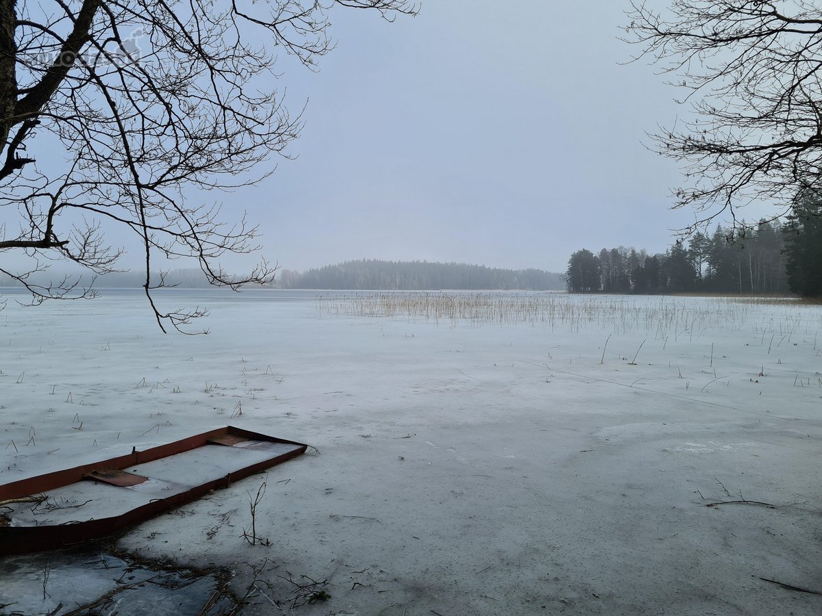 Miškų paskirties sklypas. Sklypas 2 hektarai. - nuotraukos Nr. 2