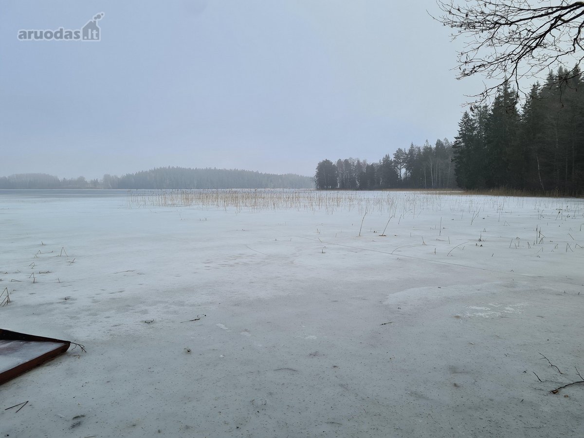 Miškų paskirties sklypas. Sklypas 2 hektarai. - nuotraukos Nr. 15