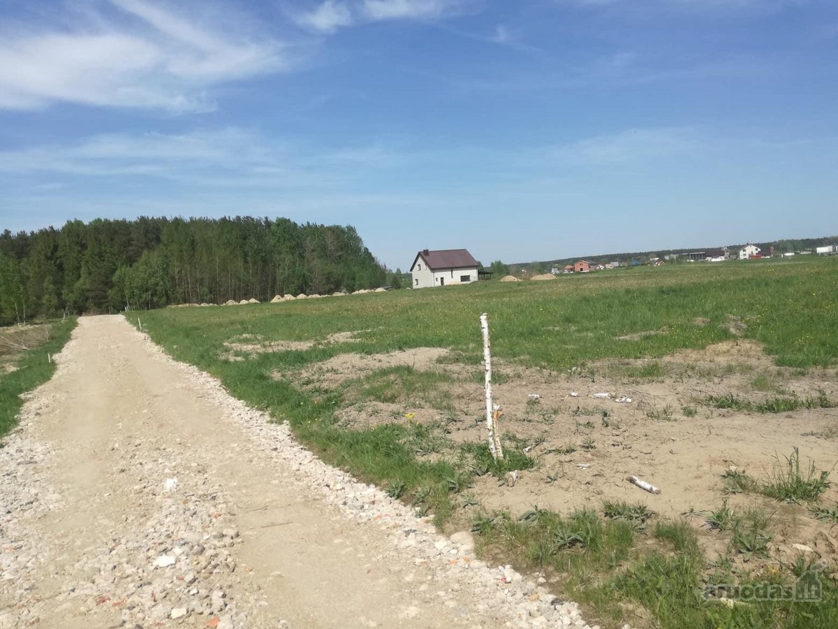 Parduodami du žemės ūkio paskirties sklypai - nuotraukos Nr. 3