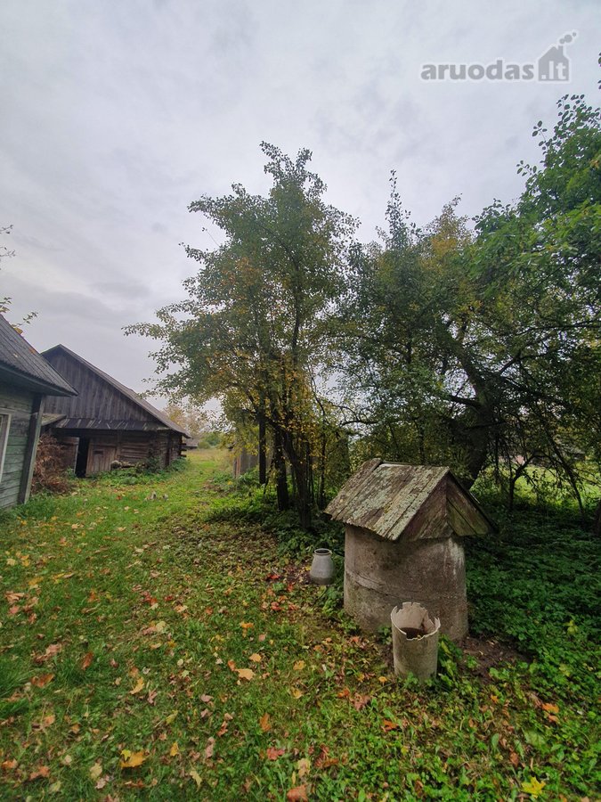 Ignalinos rajone, labai ramioje vietoje (nėra - nuotraukos Nr. 6