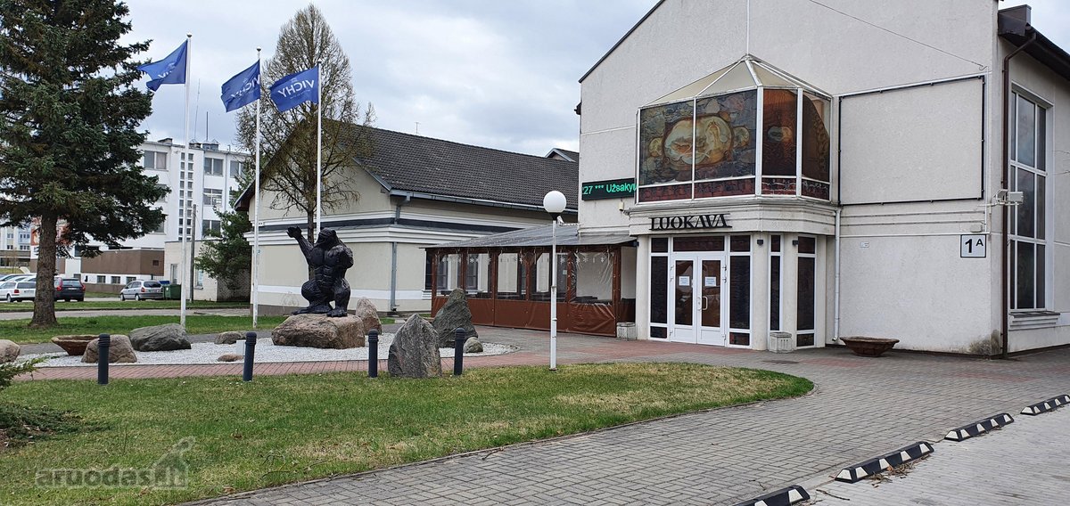 Sparčiai augančio, Naujosios Akmenės, miesto
