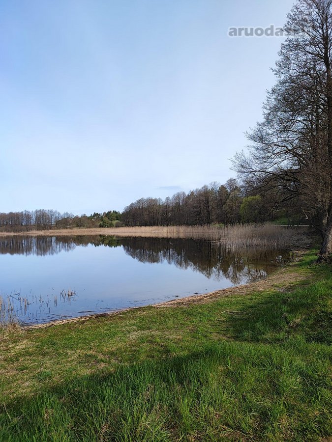 Parduodamas 1,2079 ha žemės ūkio paskirties - nuotraukos Nr. 16