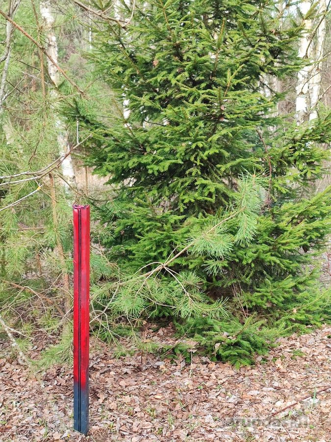 Parduodamas 1,2079 ha žemės ūkio paskirties - nuotraukos Nr. 4
