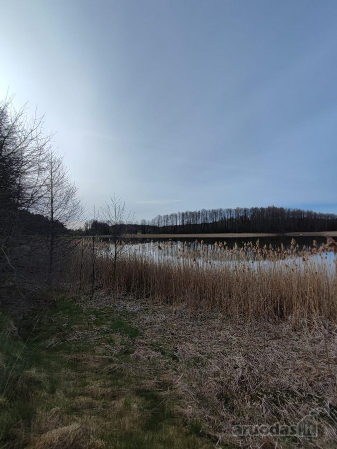 Parduodamas 1,2079 ha žemės ūkio paskirties - nuotraukos Nr. 18