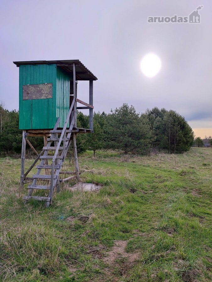 Parduodamas 1,2079 ha žemės ūkio paskirties - nuotraukos Nr. 13