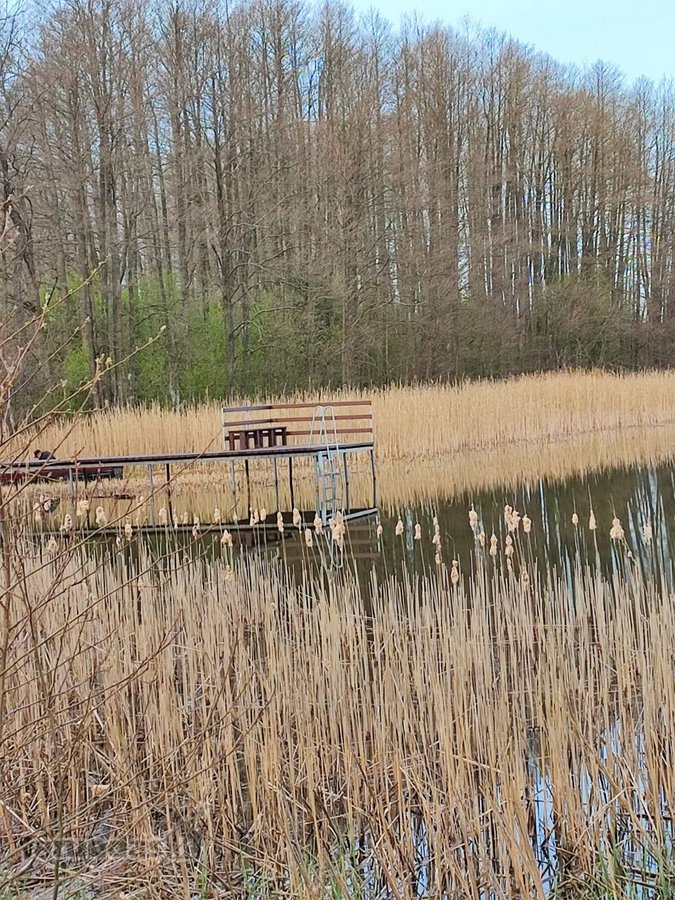 Parduodamas 1,2079 ha žemės ūkio paskirties - nuotraukos Nr. 17