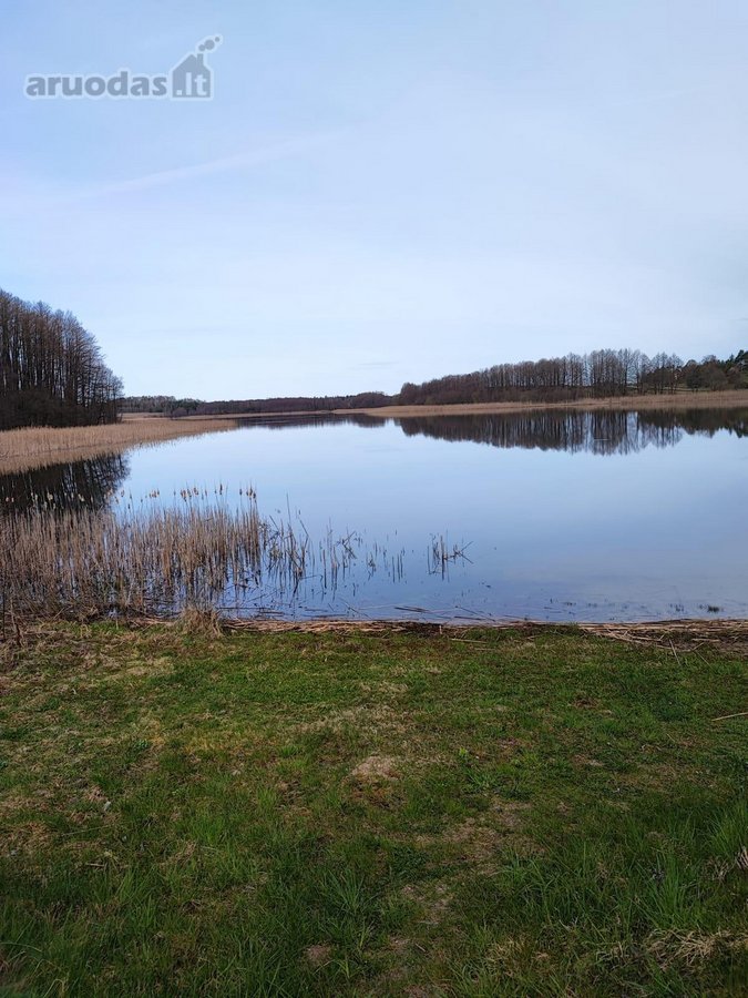 Parduodamas 1,2079 ha žemės ūkio paskirties - nuotraukos Nr. 15