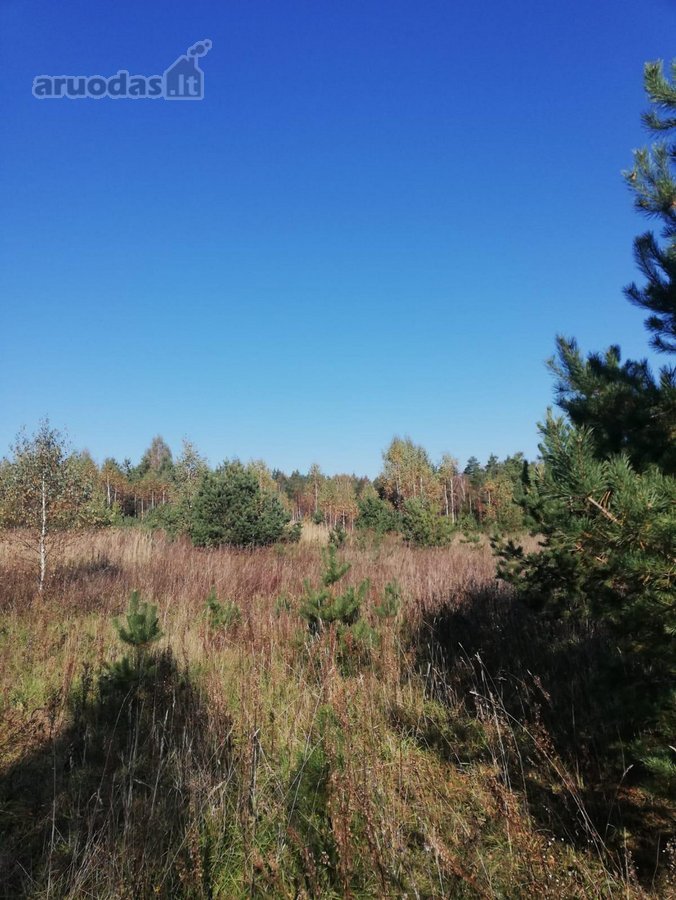 Parduodamas 1,2079 ha žemės ūkio paskirties - nuotraukos Nr. 9