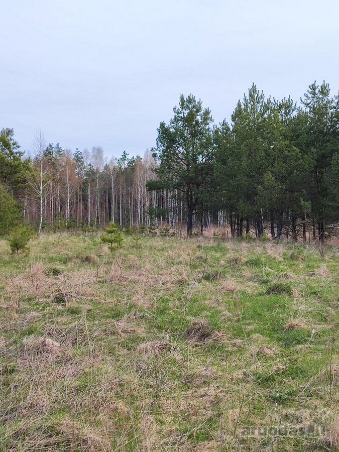 Parduodamas 1,2079 ha žemės ūkio paskirties - nuotraukos Nr. 8