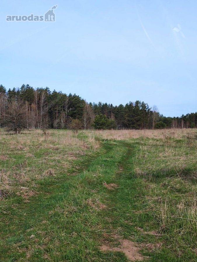 Parduodamas 1,2079 ha žemės ūkio paskirties - nuotraukos Nr. 12