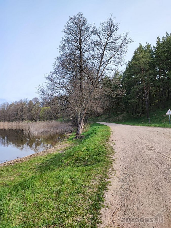Parduodamas 1,2079 ha žemės ūkio paskirties - nuotraukos Nr. 14