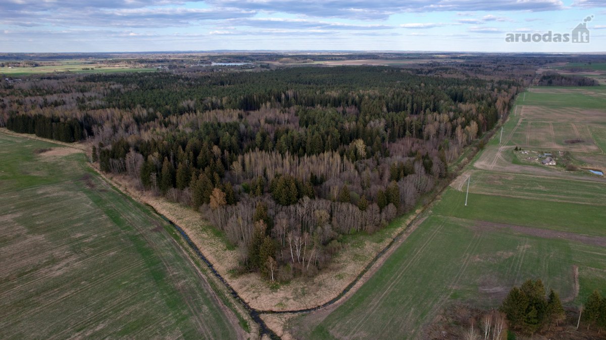 Avižonių k., Širvintų r. parduodamas - nuotraukos Nr. 5