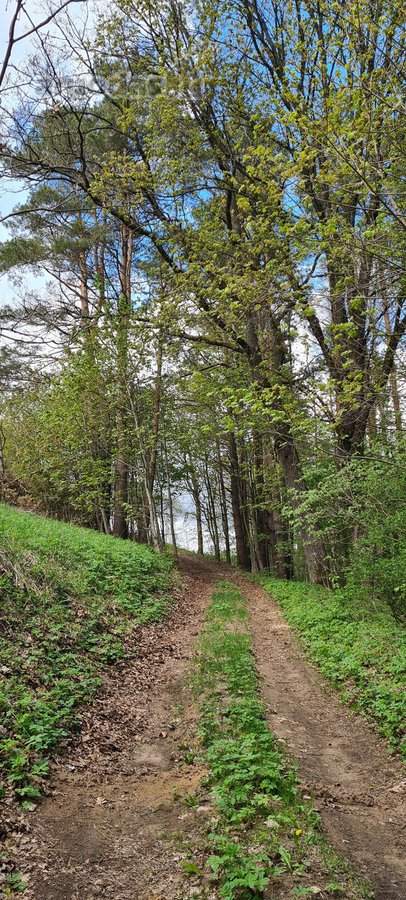 Išskirtinis sklypas Anykščių šilelyje - nuotraukos Nr. 10