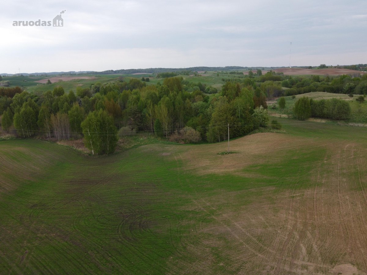 Parduodami 3 žemės ūkio paskirties sklypai - - nuotraukos Nr. 11