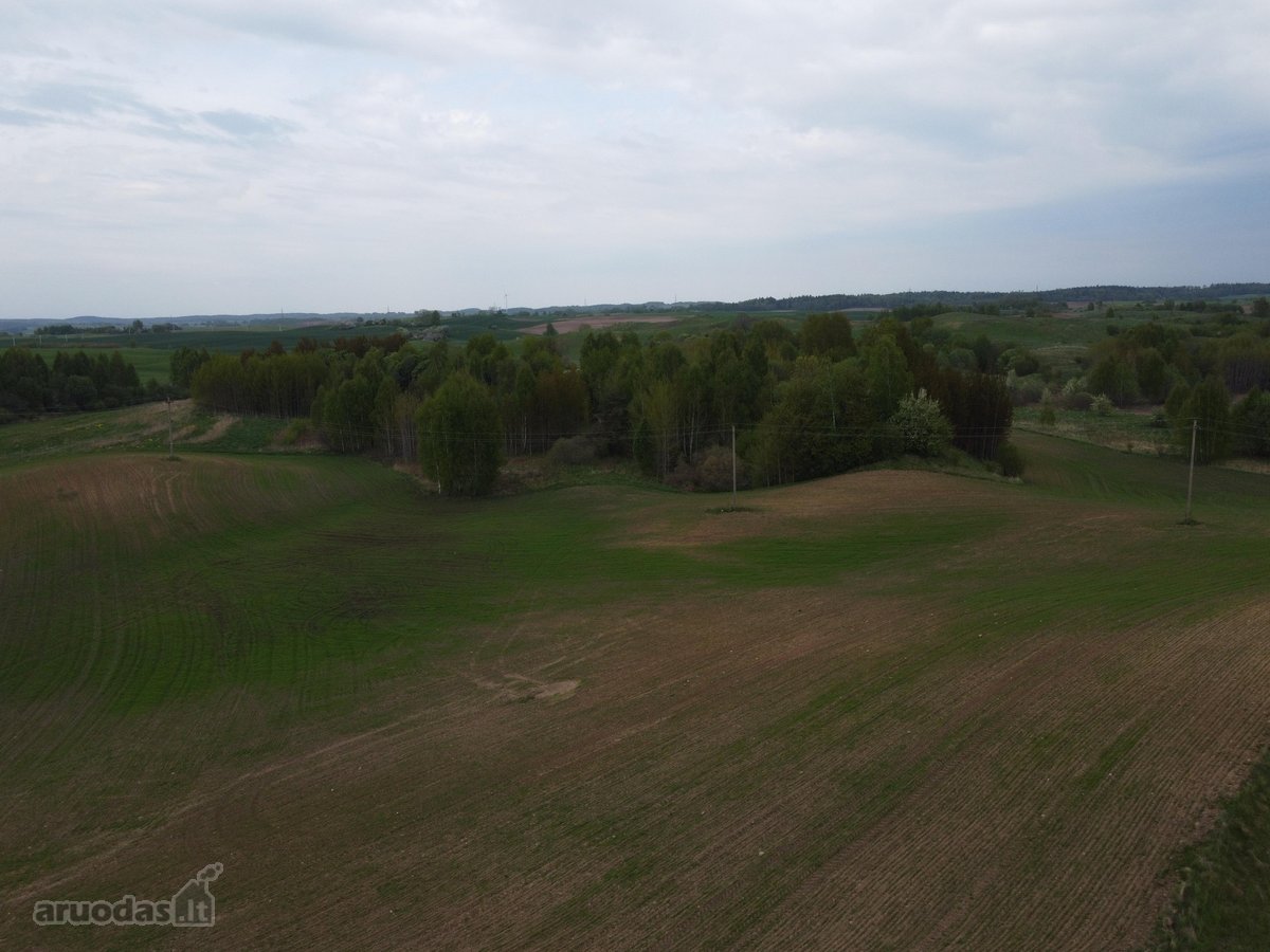 Parduodami 3 žemės ūkio paskirties sklypai - - nuotraukos Nr. 13