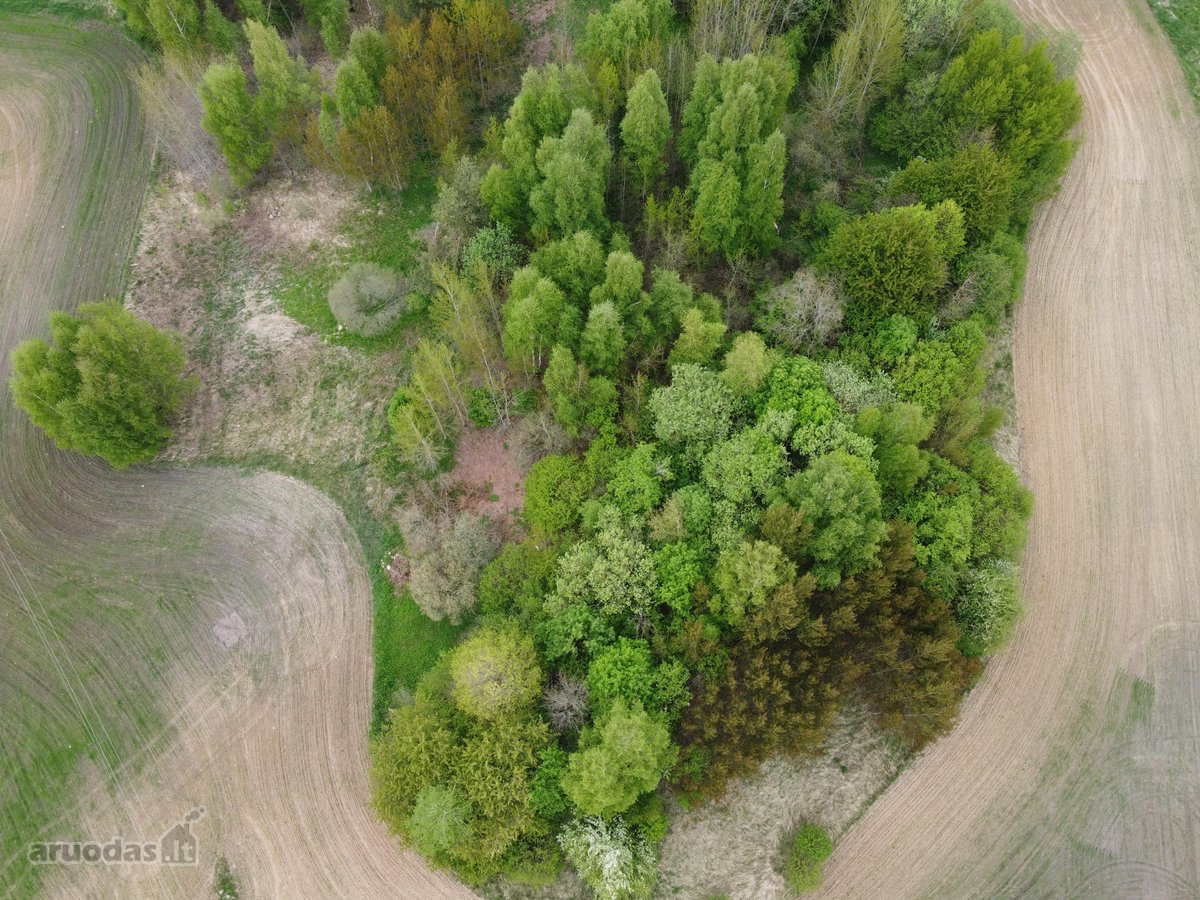 Parduodami 3 žemės ūkio paskirties sklypai - - nuotraukos Nr. 8