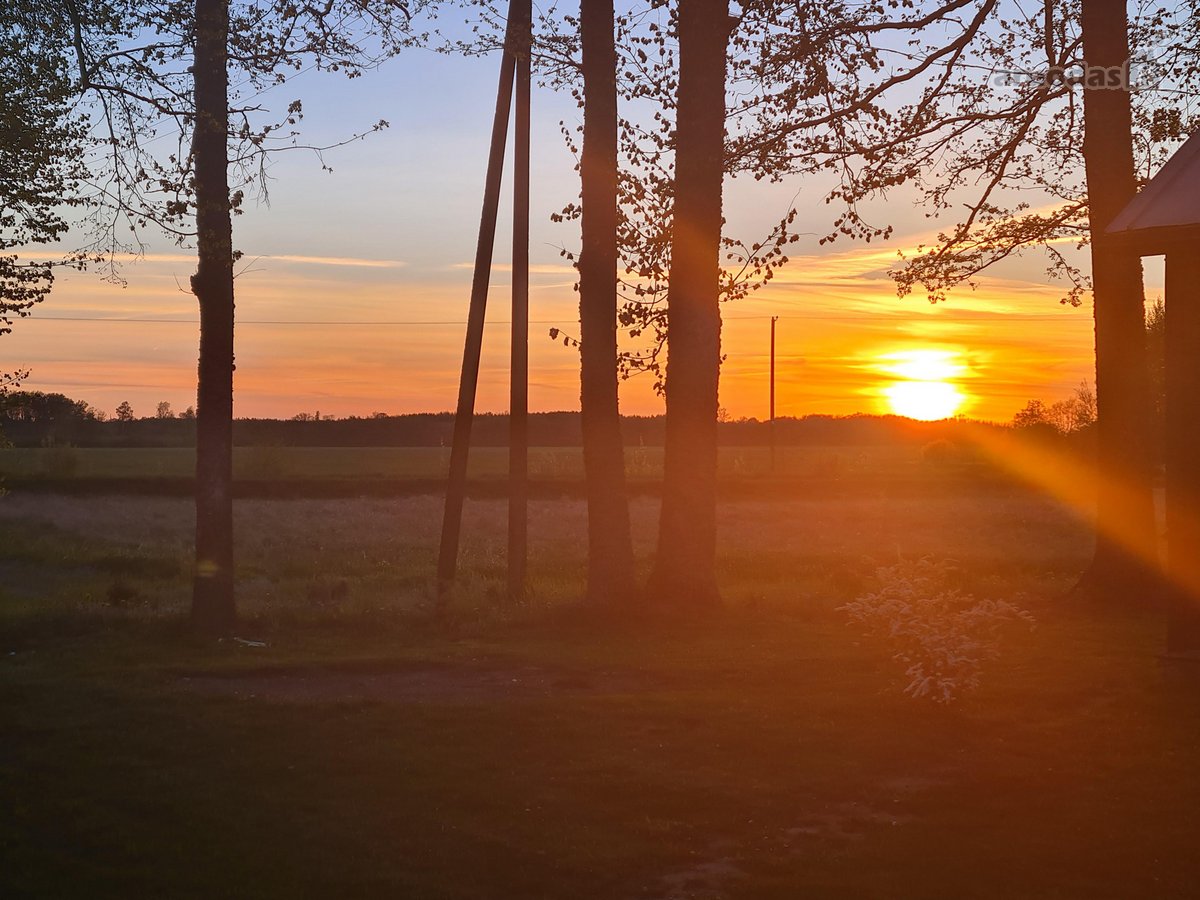 Parduodama autentiška ,100 liepų sodyba - nuotraukos Nr. 28