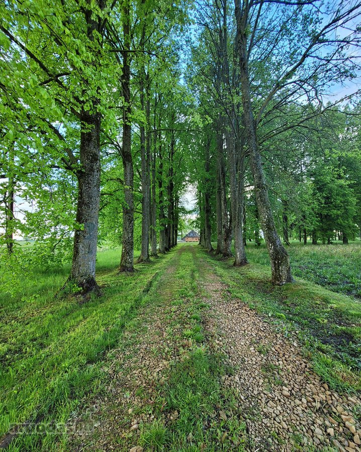 Parduodama autentiška ,100 liepų sodyba - nuotraukos Nr. 17