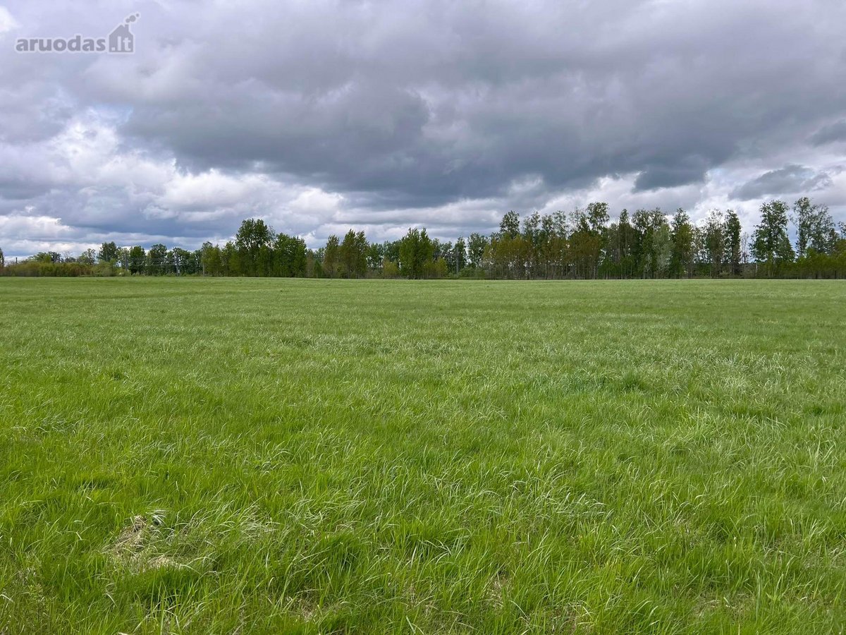 Zemes ukio paskirties sklypas. Prie pat - nuotraukos Nr. 14