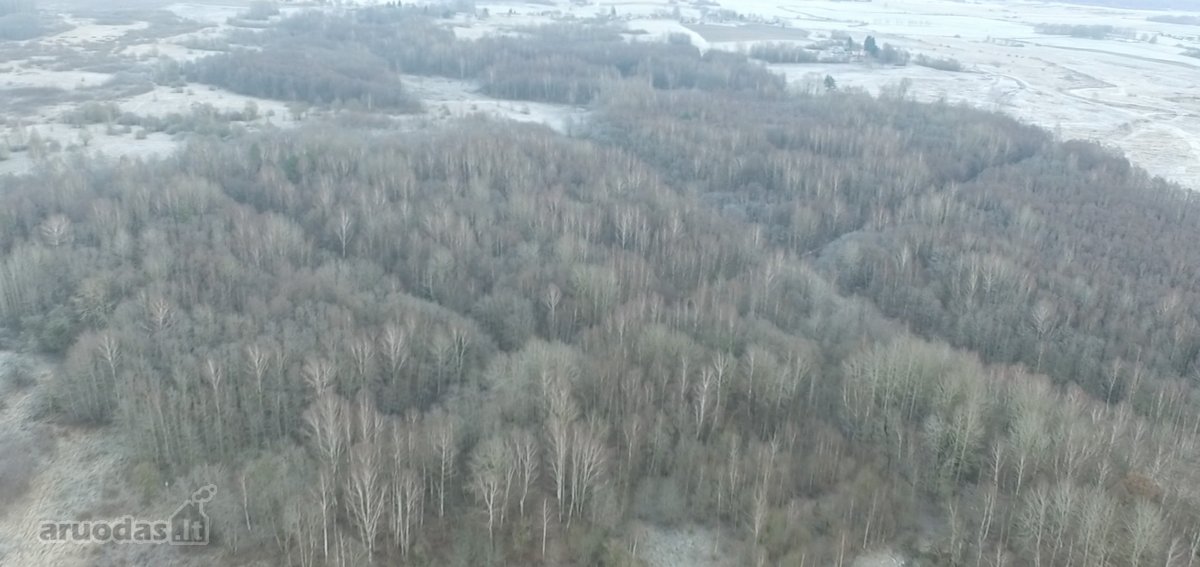 Investicinis Projektas Lietuvoje – 175 Ha - nuotraukos Nr. 10
