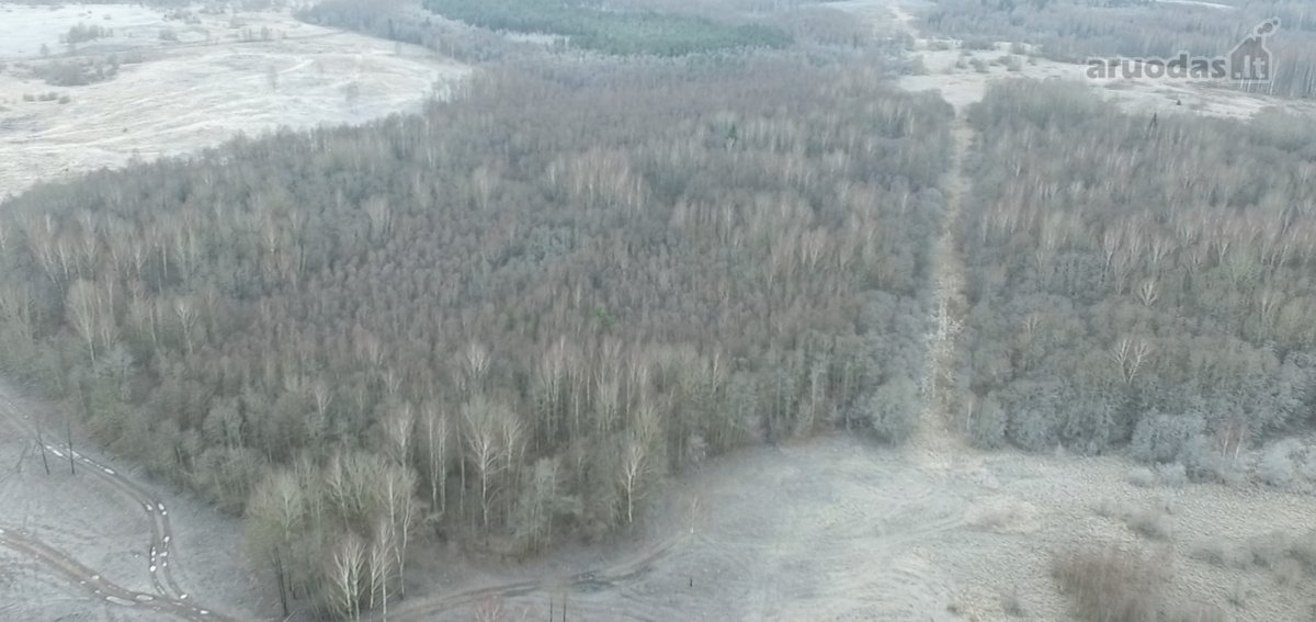 Investicinis Projektas Lietuvoje – 175 Ha - nuotraukos Nr. 11