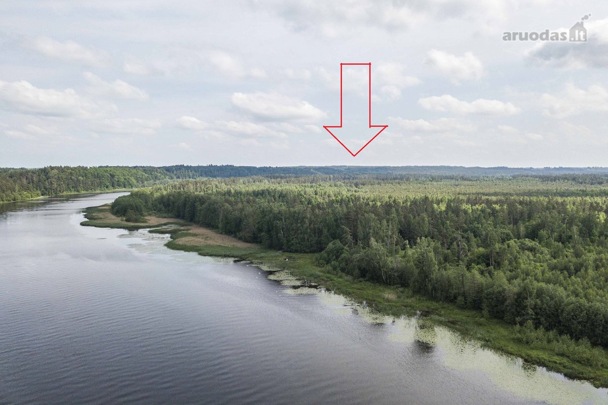 Parduodame 2,81ha ploto miškų ūkio paskirties