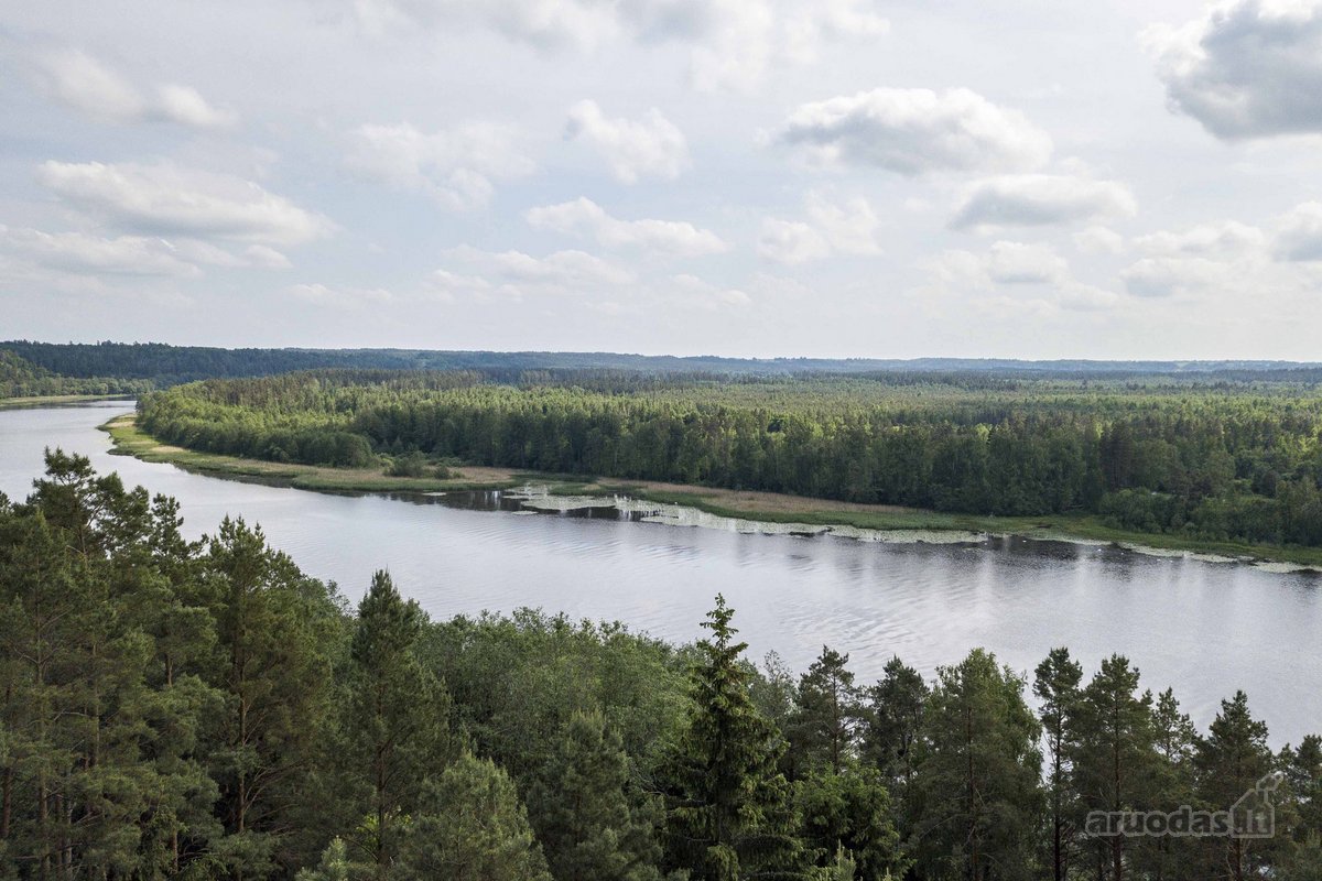 Parduodame 2,81ha ploto miškų ūkio paskirties - nuotraukos Nr. 9