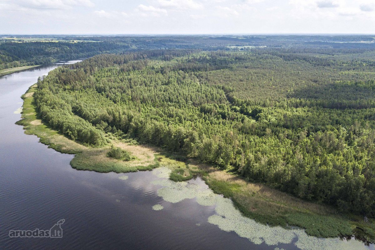 Parduodame 2,81ha ploto miškų ūkio paskirties - nuotraukos Nr. 10