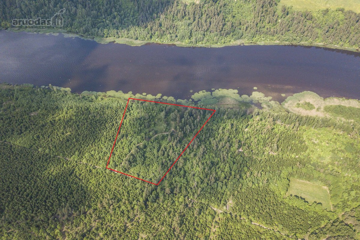 Parduodame 2,81ha ploto miškų ūkio paskirties - nuotraukos Nr. 2