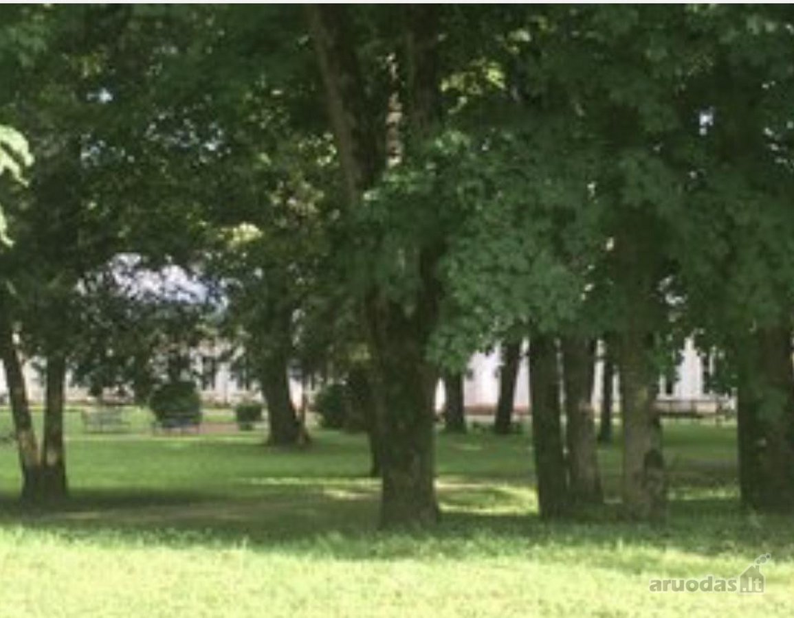 Parduodamas Rokiškio rajone Salų miestelyje - nuotraukos Nr. 5