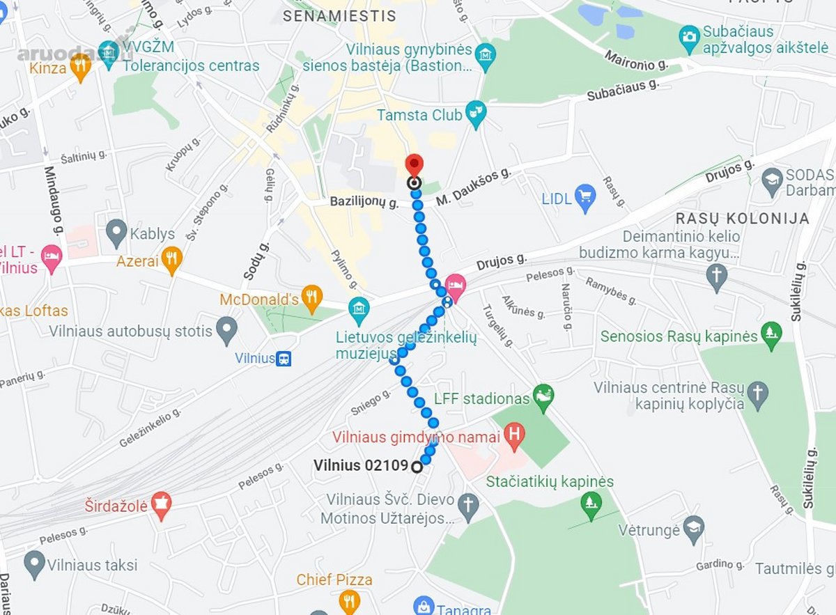Nuomojamas 1,5 Kambario Butas Naujininkuose, - nuotraukos Nr. 19