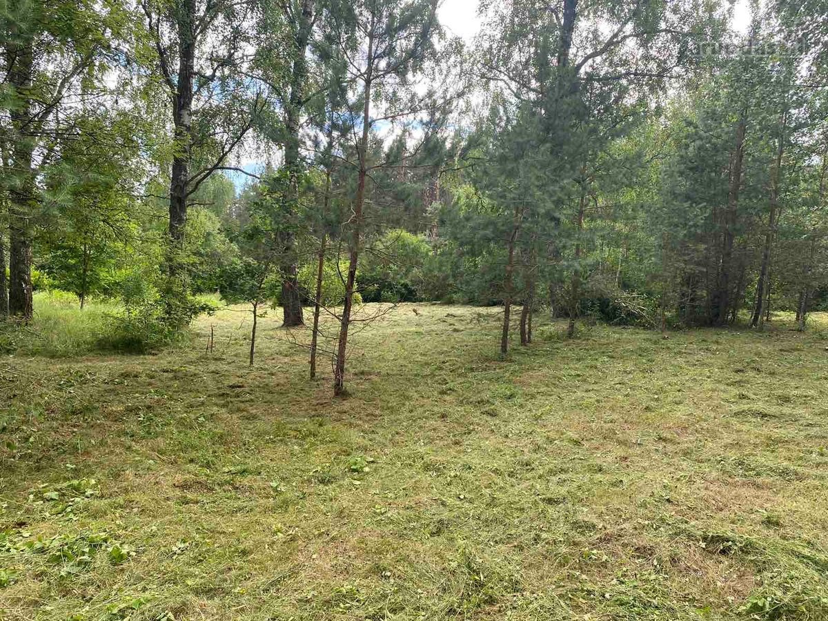 Parduodamas sklypas sklypas šalia Švenotsios - nuotraukos Nr. 5
