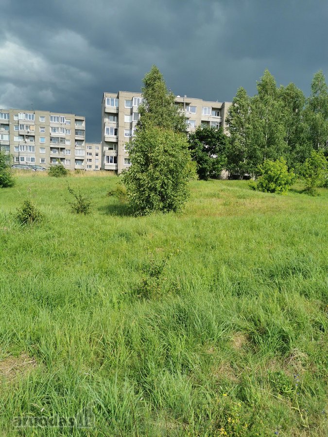 Matuizų gyvenvietės centre parduodamas namų - nuotraukos Nr. 4
