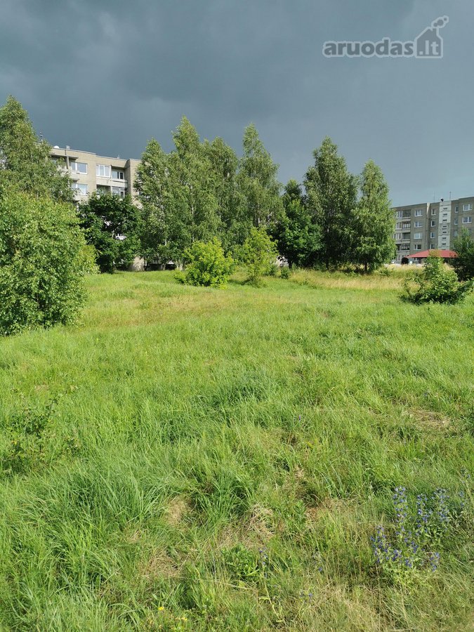 Matuizų gyvenvietės centre parduodamas namų - nuotraukos Nr. 5