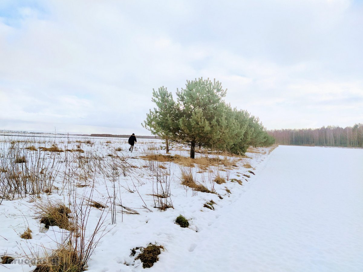 Yra leidimas gyvenamajai statybai. - nuotraukos Nr. 8