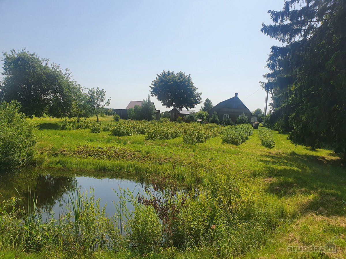 Labai gražioje, ramioje vietoje parduodama sodyba! - Skelbiu.lt