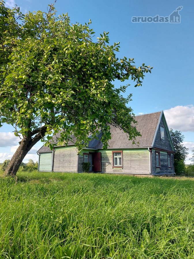 Parduodama sodyba adresu: Pušyno g. 13, - nuotraukos Nr. 20
